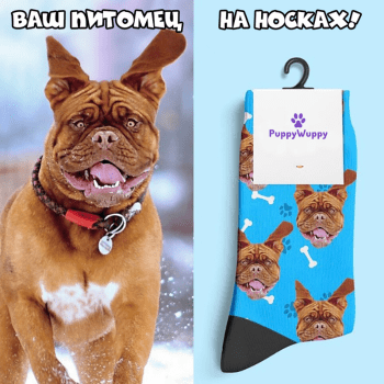 Носки с фото вашего питомца Носки с фото вашего питомца