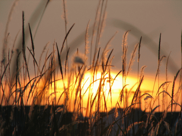 что купить в конце лета что купить в конце лета