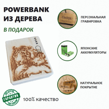 повербанк повербанк