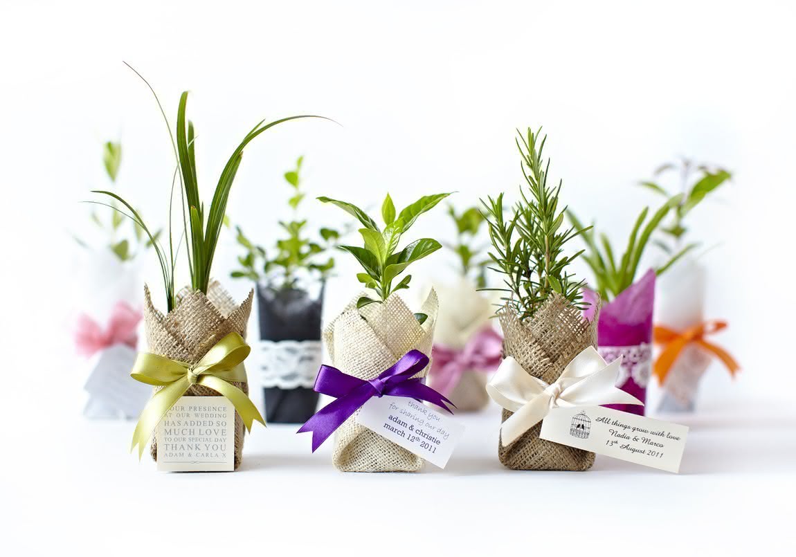 Экологичные подарки