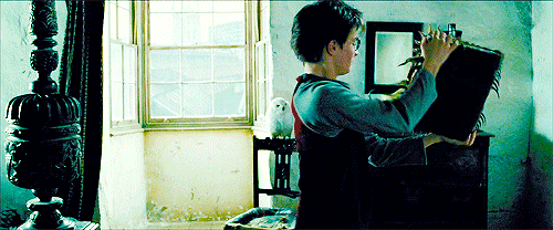 учеба, все что нужно для учебы