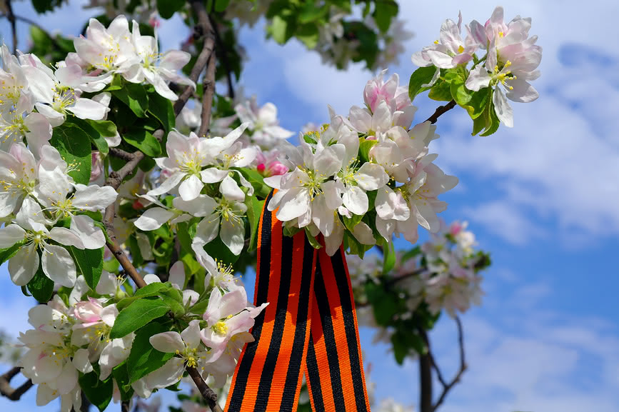 праздник май