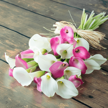 Каллы, гладиолусы