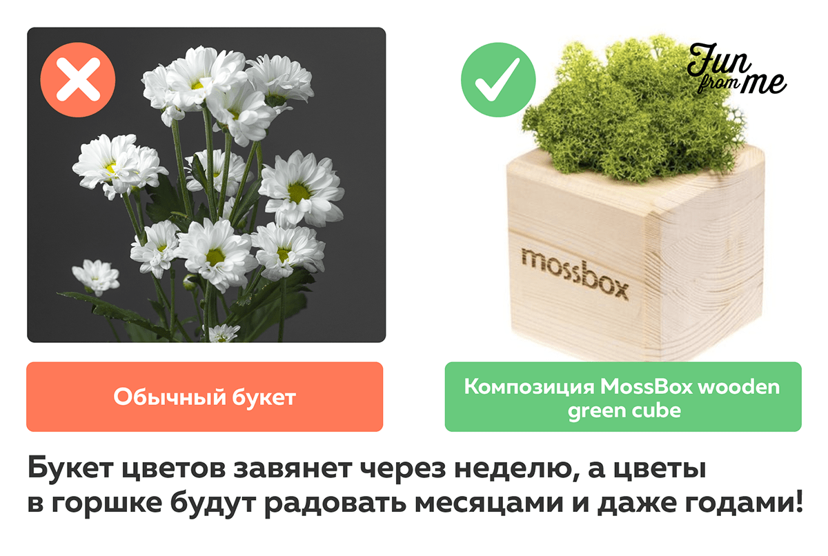 Что подарить на новоселье? Оригинальные варианты для домашнего уюта